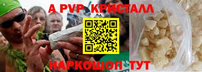 стаф Дубна