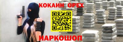 стаф Дубна