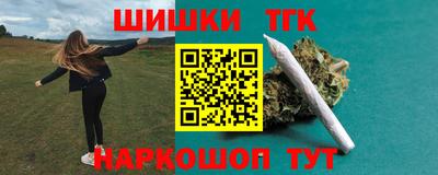 стаф Дубна