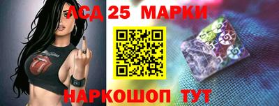 стаф Дубна