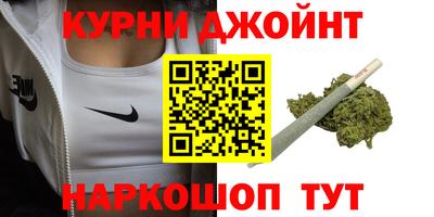 стаф Дубна