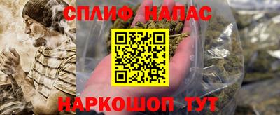 стаф Дубна