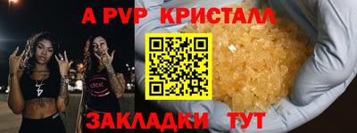 стаф Дубна