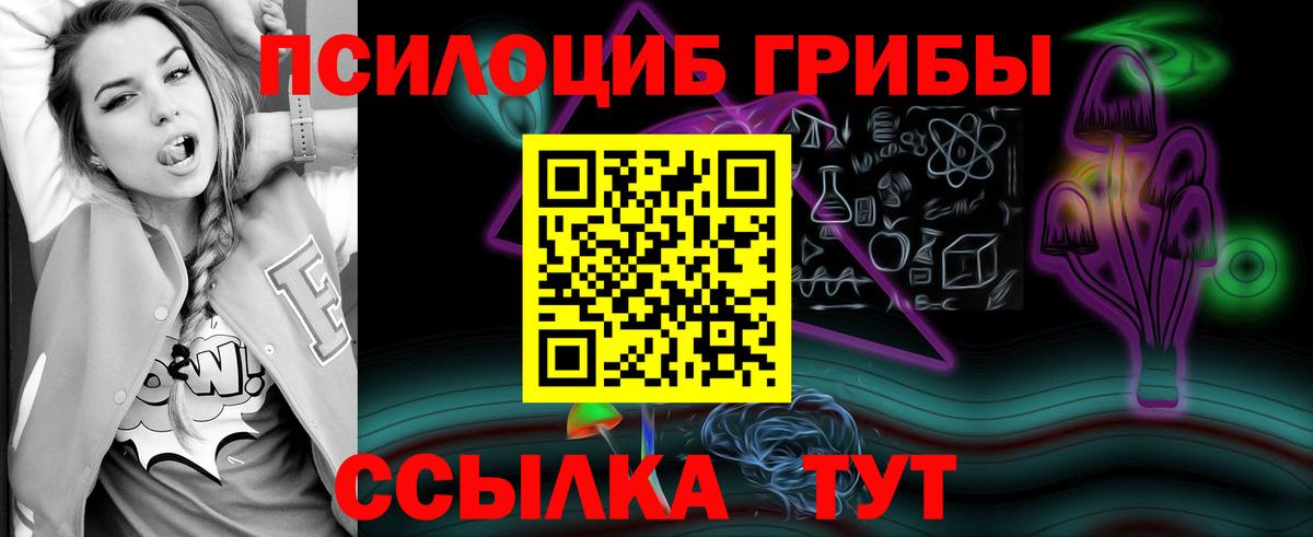 Псилоцибиновые грибы мицелий Майкоп